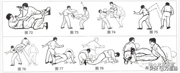 有冠军败绩没柔道怎么办_有冠军败绩没柔道吗_从没有败绩的柔道冠军有哪些