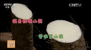 姐妹日常生活视频_姐妹小妙招_姐妹们生活小技巧