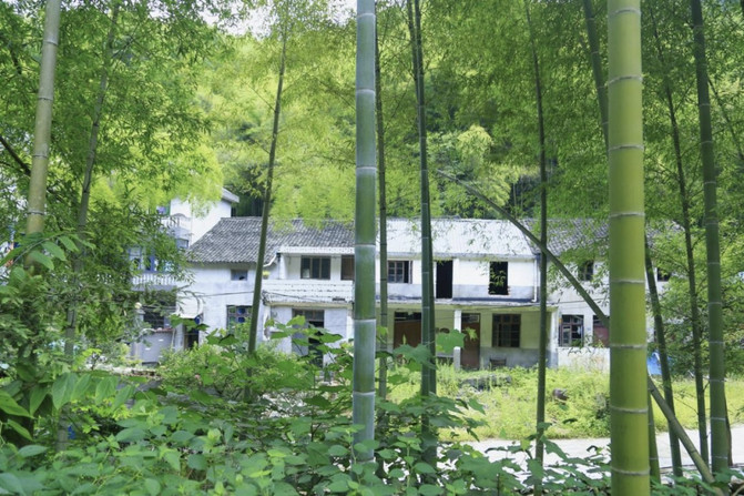 初心篮球技巧营_篮球训练营怎么做_篮球训练营教学视频