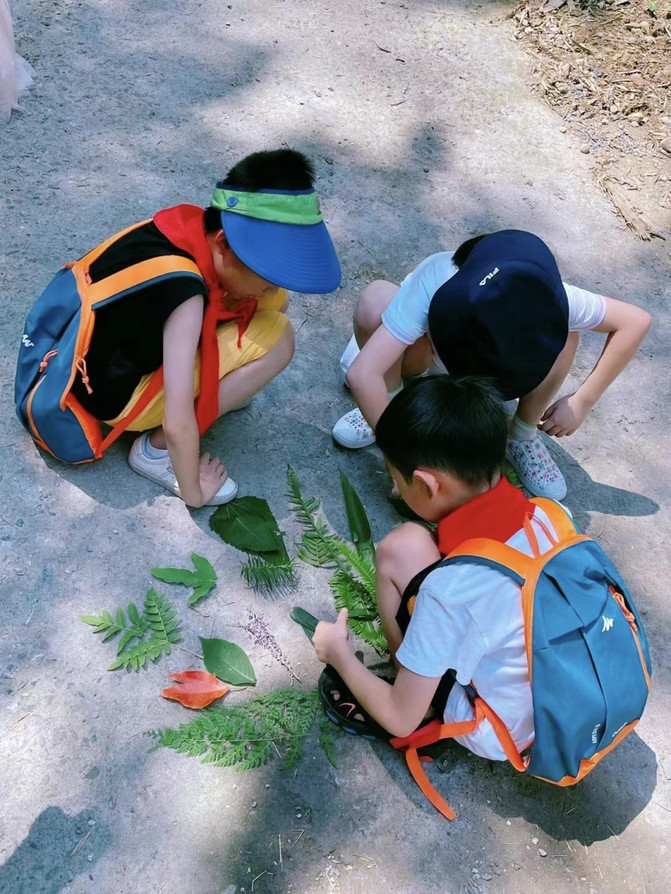 篮球训练营怎么做_篮球训练营教学视频_初心篮球技巧营