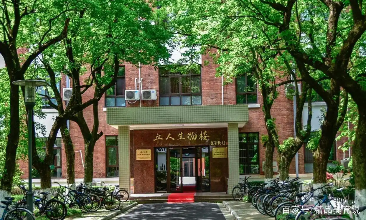 马拉松式是什么意思_马拉松结构式_马拉松设计
