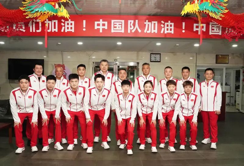 中国跳水游泳射击冠军_中国游泳跳水运动员_射击跳水游泳冠军中国选手